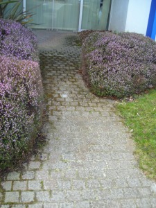 DEMOUSSANT PELARGONIQUE