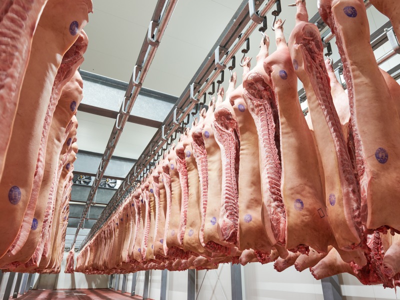 Abattoir & Découpe