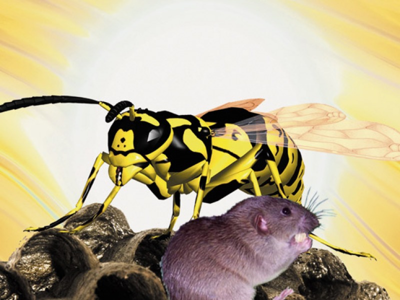 INSECTICIDES, RODENTICIDES & REPULSIFS
