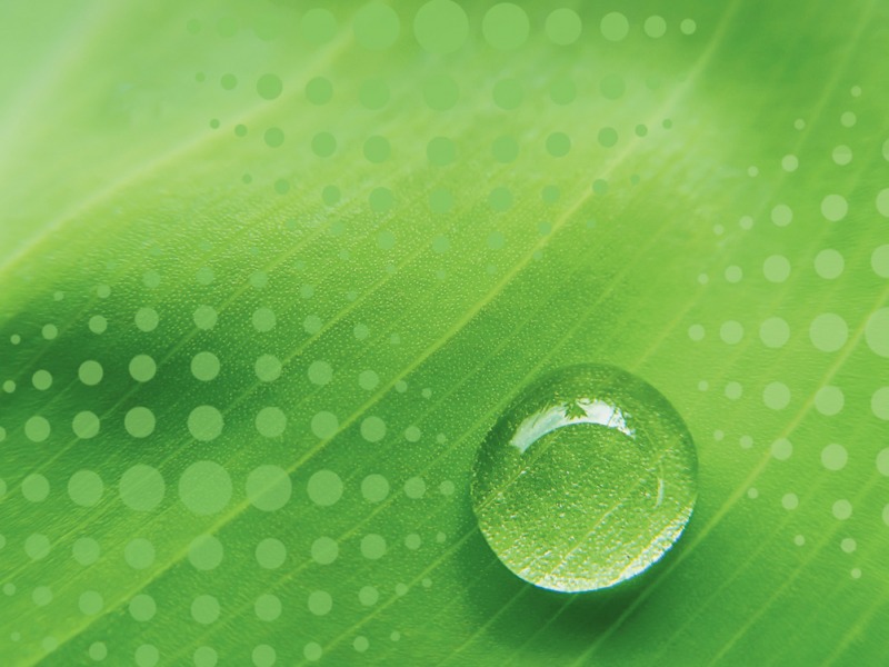 Biocontrole